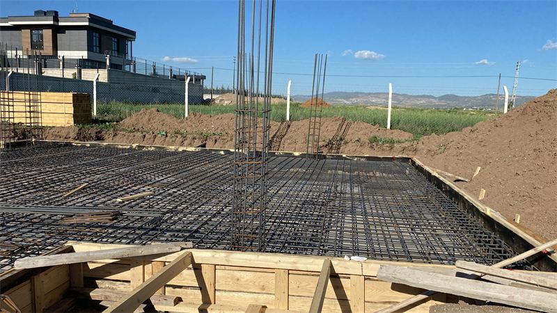Gölbaşı Hacıhasan villası: kolon filizleri
